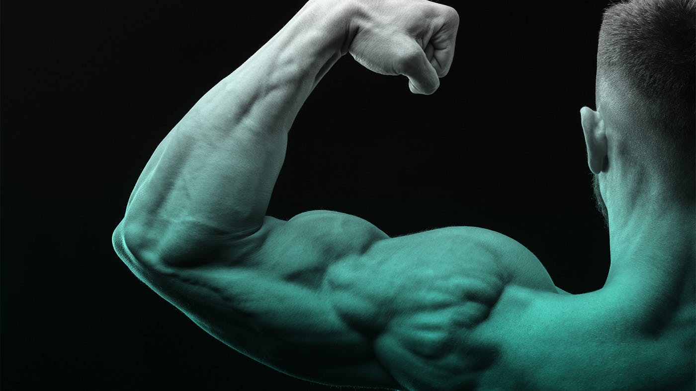 hoe worden je spieren groter door krachttraining